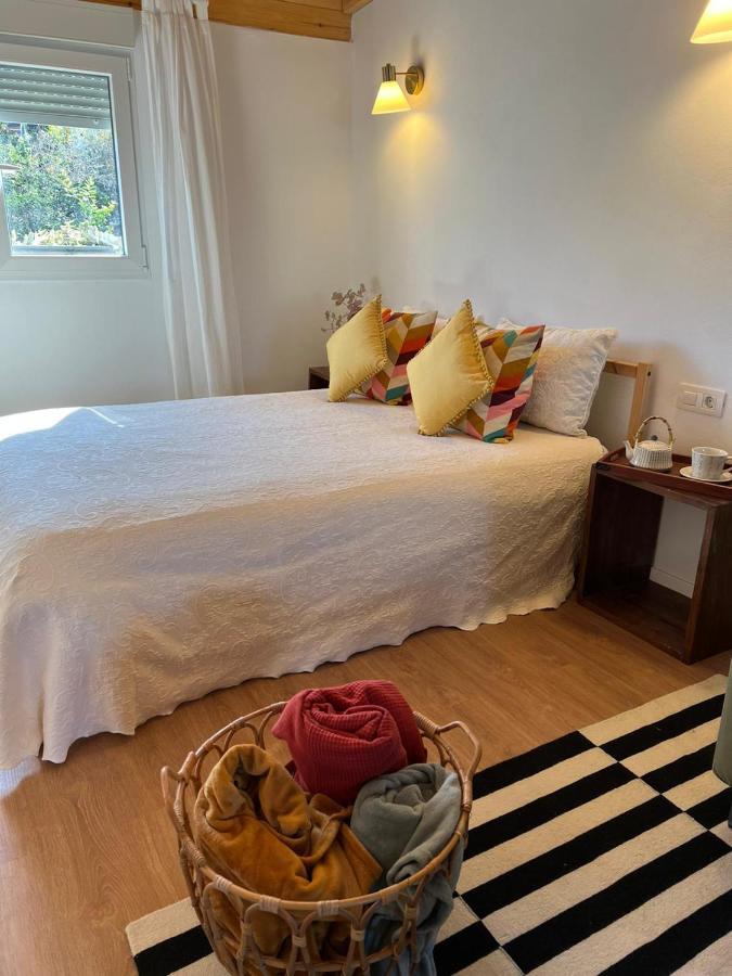 Casa Chano Estudio Confortable Tenerife Icod De Los Vinos Extérieur photo