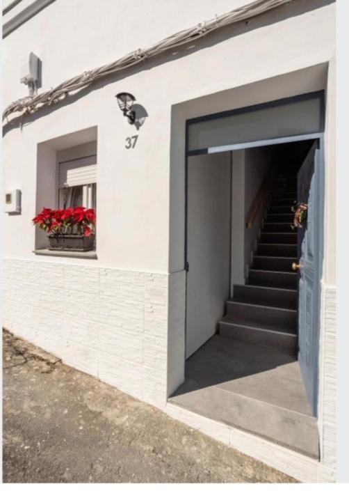 Casa Chano Estudio Confortable Tenerife Icod De Los Vinos Extérieur photo